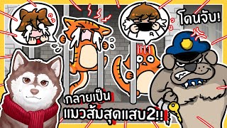 หมาสติแตกกลายเป็นแมวส้ม โดนหมาตำรวจจับ! 🐾