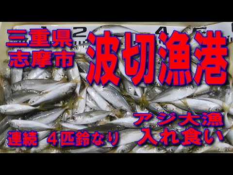 #31三重県波切漁港製氷機前波止アジ大漁連続4匹鈴なり入れ食い製氷機前南蛮漬けサイズのアジ入れ食い状態ファミリー家族連れサビキ釣り良車横付け釣り出来ますイカ墨跡多数堤防アジング釣りポイント釣りスポット
