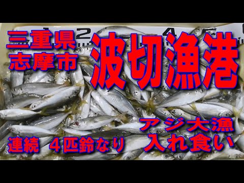 #31三重県波切漁港製氷機前波止アジ大漁連続４匹鈴なり入れ食い製氷機前南蛮漬けサイズのアジ入れ食い状態ファミリー家族連れサビキ釣り良車横付け釣り出来ますイカ墨跡多数堤防アジング釣りポイント釣りスポット