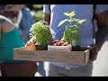 Skokie Farmers' Market - The Core of the Community