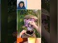 Kelakuan Kocak GuguGaga Part 33