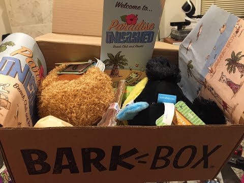 barkbox-unboxing-&-review---february-2018-for-medium-dogs