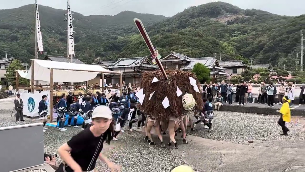 奇祭   狩江秋祭り   午後その②   動画後半   牛鬼  大暴れ超危険😲  逃げて逃げて逃げ回る人達🤣    春日神社 西予市 明浜町 (2025.10.25)  @karie_n_joy 