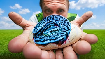 The Next Step in Solving Brian Barczyk