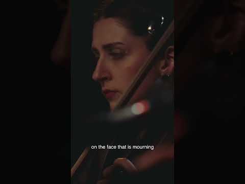 The beautiful lyrics featured on Hanakiv's new single, Sunbeams
