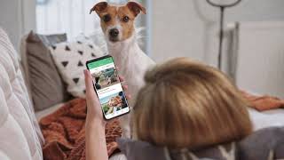 Pet Connect Business - Dog Trainer Apps screenshot 4