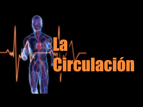 Adelgazar la cara en 20 minutos gloria