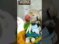 This hen is trying to protect her eggs