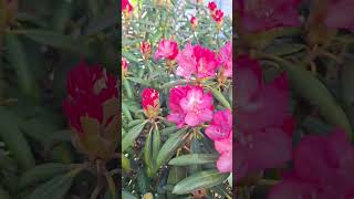 did you notice #bluesinspired #lofiambient #dreamsynth #darkbass #smoothsounds