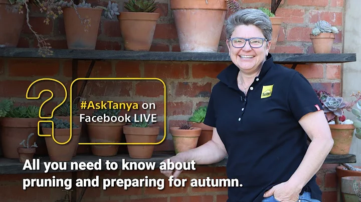 Garden Masterclass LIVE with Tanya Visser