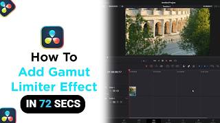 How to Add Gamut Limiter Effect on Davinci Resolve [NEW]