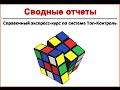 Сводные отчеты - Модуль "Анализ продаж" - справочное видео системы "ТопКонтроль"