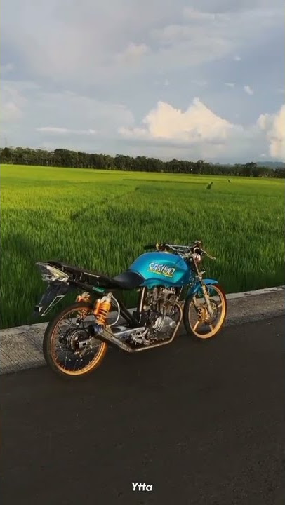 story wa herex || TIGER SASIMO #herex #fyp #storywa #shorts