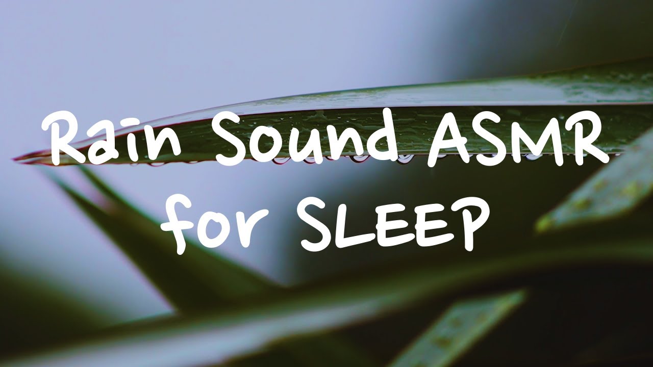 Rain Sound ASMR for SLEEP YouTube