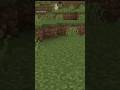 #minecraft #gameplay