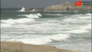 QUIBERON  | 🏖️  The Savage Coast - Quiberon 24 Television  🇨🇵