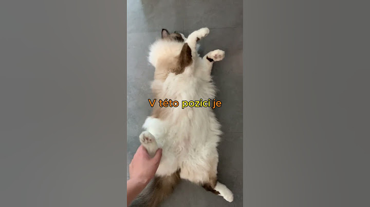 Nikdy neruš svojí kočku, když uvidíš tohle! |  #cesko #kocka #cz #fakta #tipy #kočka #zvířata #kočky
