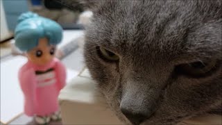 ママの誕生日祝い動画撮影中、思わぬ邪魔が・・・！