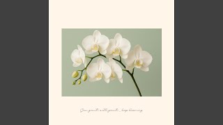 Honeylit Morning - Mint & Mellow