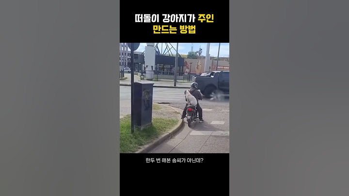 떠돌이 강아지가 주인 만드는 방법