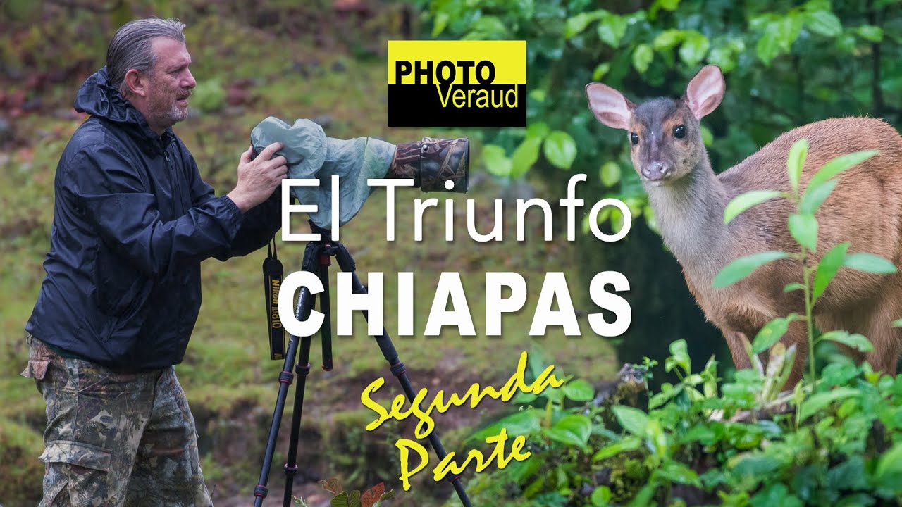 La maravillosa naturaleza de El Triunfo – Segunda Parte