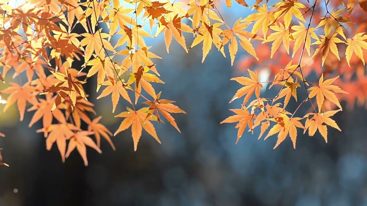 Beautiful Praise | Contemporary Christian Prayer Music