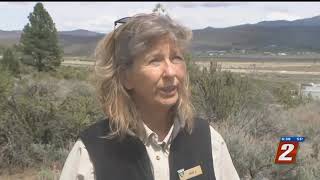 Camping Still Closed During Phase One Of Reopening