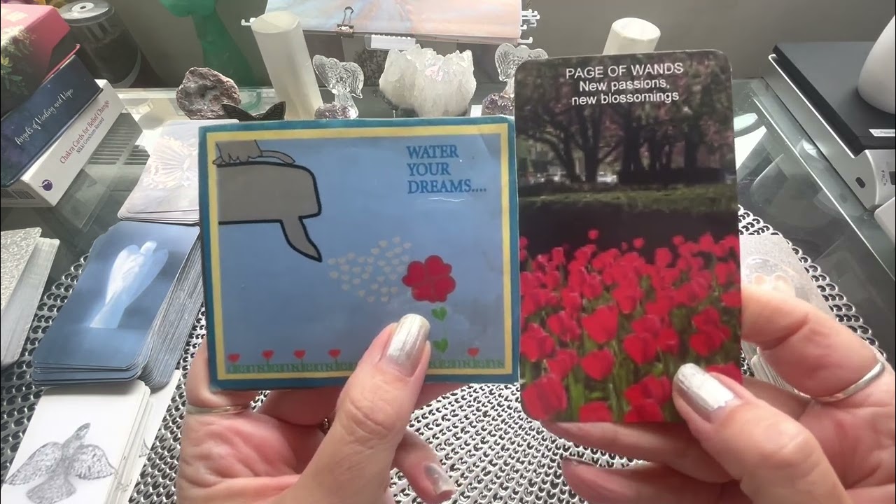 May Free Spirit Reading/Messages-🌹Focus On -What You Are Planting In Your LIfe!🌹Supported!🌹