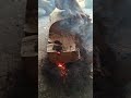 bow drill the traditional art of starting a fire #primitivefire #traditionalfire #survivalfire