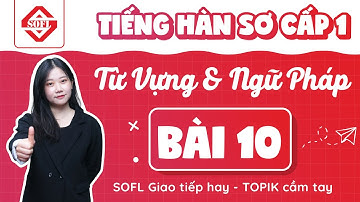 BÀI 10 TỪ VỰNG - NGỮ PHÁP TIẾNG HÀN TỔNG HỢP SƠ CẤP 1 | HỌC TIẾNG HÀN ONLINE