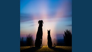 Restful Paw Echoes