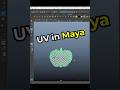 UV in Maya✅