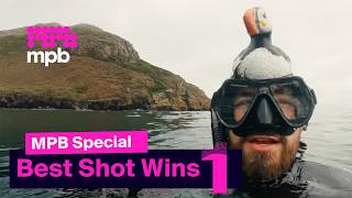 Puffin Photography Challenge in Wales | MPB