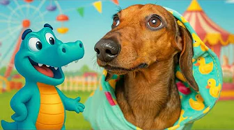 САМЫЕ ЗАБАВНЫЕ МОМЕНТЫ С ЧАПИТОСИКАМИ😜 thumbnail