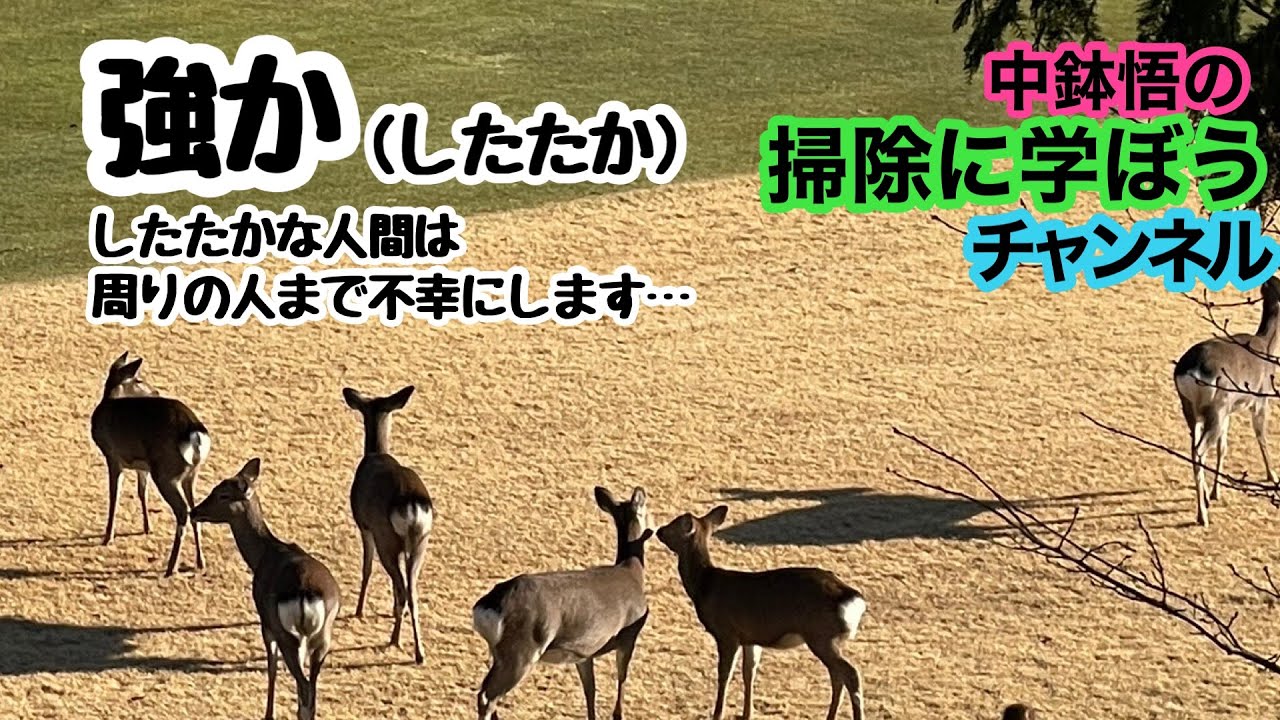 した た かな 人