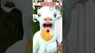 ماعز ياكل بطاطس محمرهshorts goat eating
