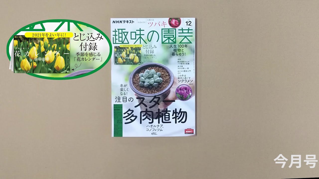 趣味の園芸 年12月号の紹介 注目のスター多肉植物 この冬は鉢花と過ごす シクラメンほか とじ込み付録 花カレンダー トピック ニュース みんなの趣味の園芸 趣味の園芸 年12月号の紹介 注目のスター多肉植物 この冬は鉢花と過ごす シクラメンほか とじ込み付録 花カレンダー トピック ニュース みんなの趣味の園芸