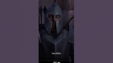 Thieves Guild Glitch FIX! #shorts #thievesguild #glitch #fix #tutorial #letsplay #walkthrough