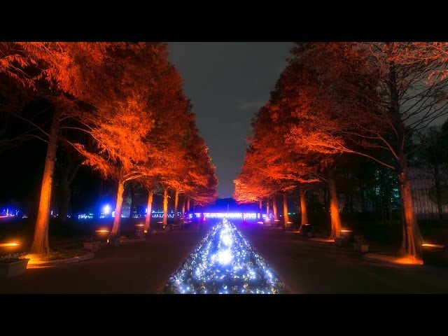 長居植物園 ガーデンイルミネーション 13 Illumination In Nagai Botanical Garden Osaka Japan Youtube