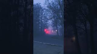 #calm #silent #dark #nebula #trees #beautiful #great #like