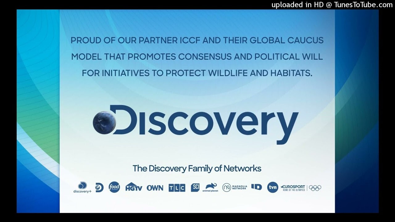 My Favorite To Least Favorite S_M_G_P_S_C_C_P_F_D_W_A_L V5 (Disowned for IASW Groot and The Wiggles)