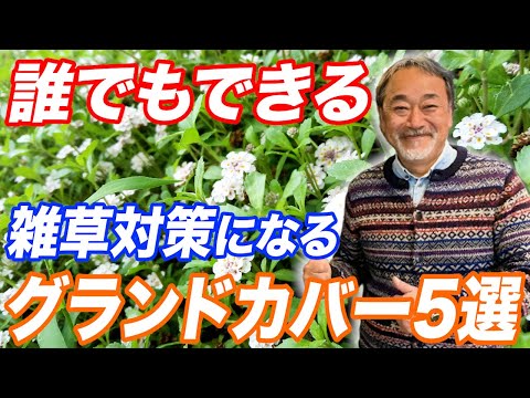 グランドカバーで益虫を呼ぶ！たった7種で驚きの効果