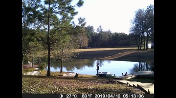 Timelapse - Pedal Boat and sunset on the dock