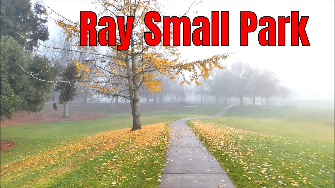 A foggy morning, Ray Small Park, Papakura | Winter in Auckland
