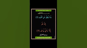 سورة النجم - سورة 53 - اية (04-03)
