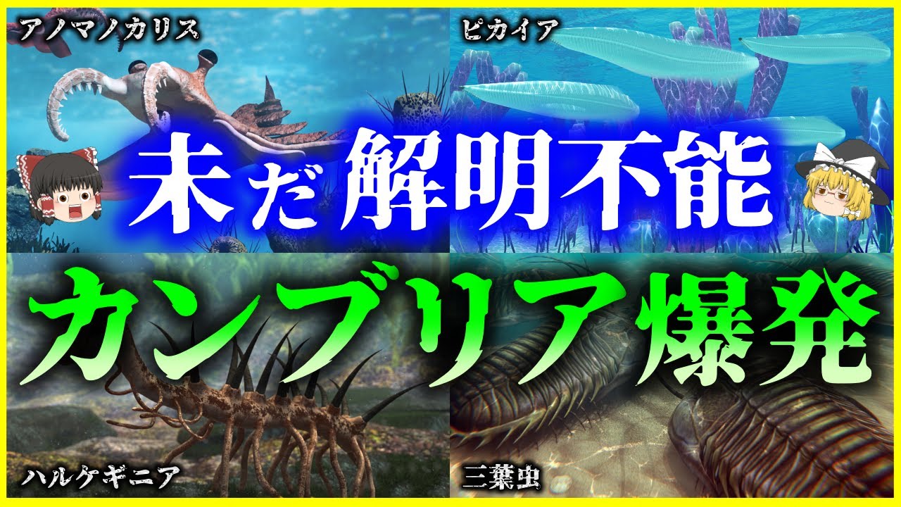 【ゆっくり解説】６億年前の生物大進化！カンブリア爆発とは⁉を解説