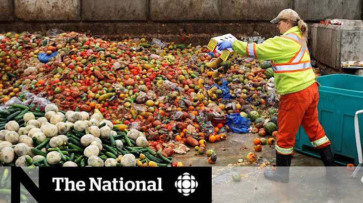 Canadians get creative in solving food waste problem - DayDayNews
