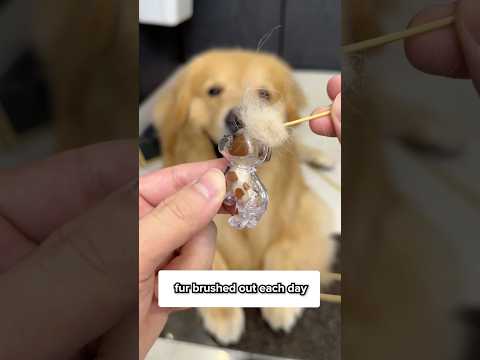 سأحتفظ به قريبا من قلبي 