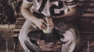 Qisa Status Mahnilari Mp4 2019