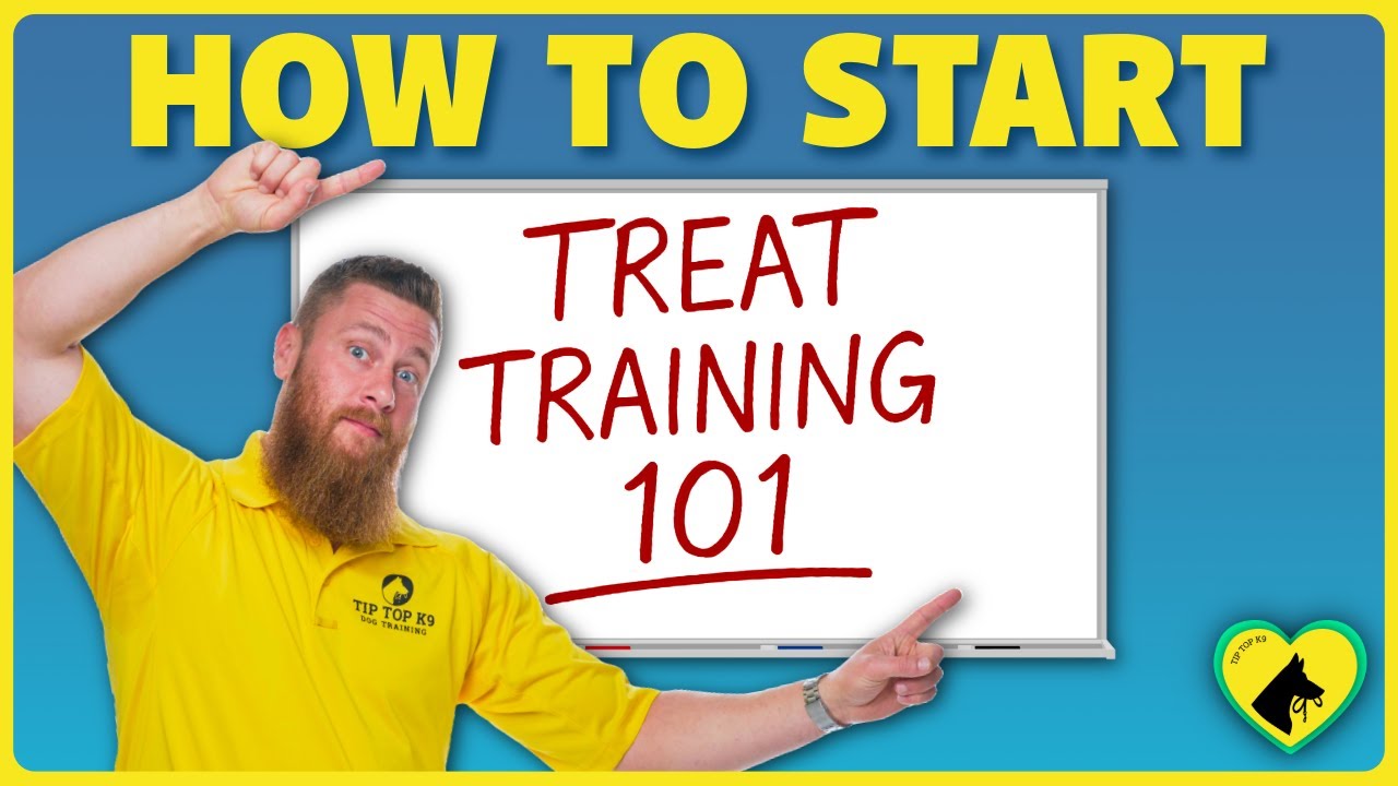 How to Start Trick Training with Your Dog | Treat Training 101 - YouTube